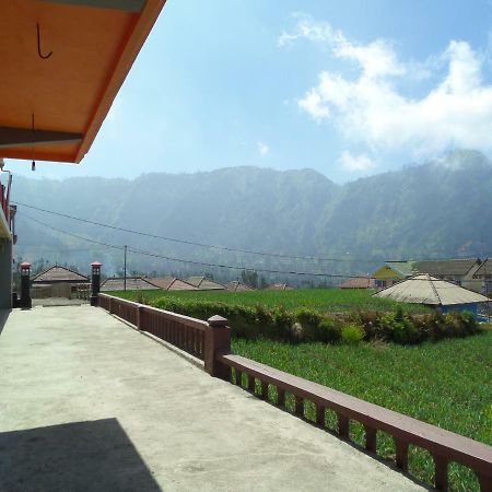 Tengger Indah Homestay Bromo Exterior foto
